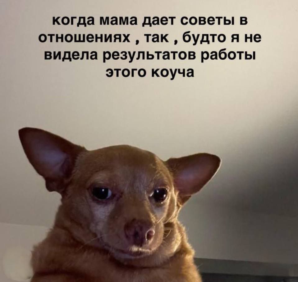 Когда мама дает советы в отношениях так, будто я не видела результатов работы этого коуча