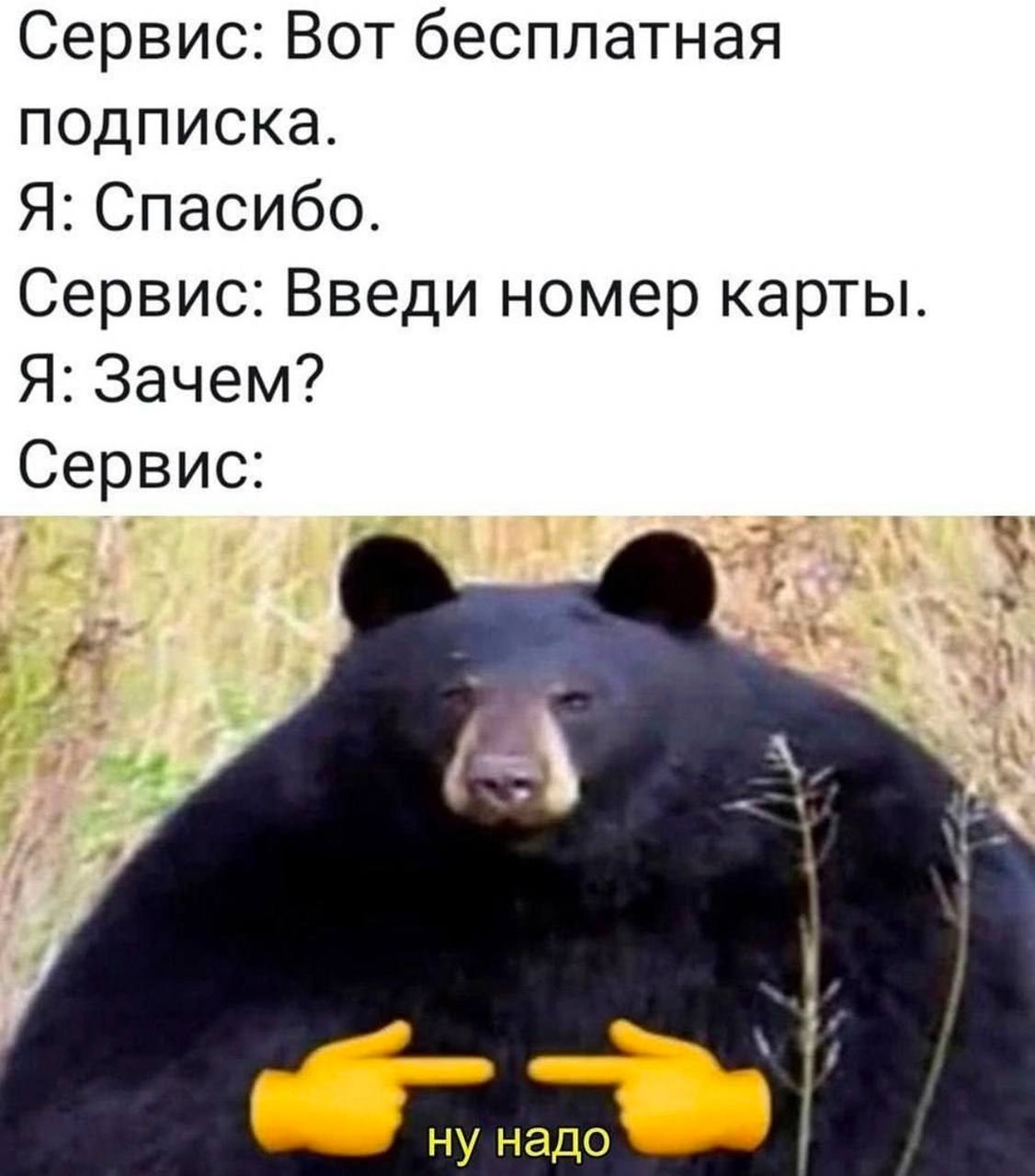 Сервис: вот бесплатная подписка. Я: спасибо. Сервис: введи номер карты. Я: зачем? Сервис: ну надо