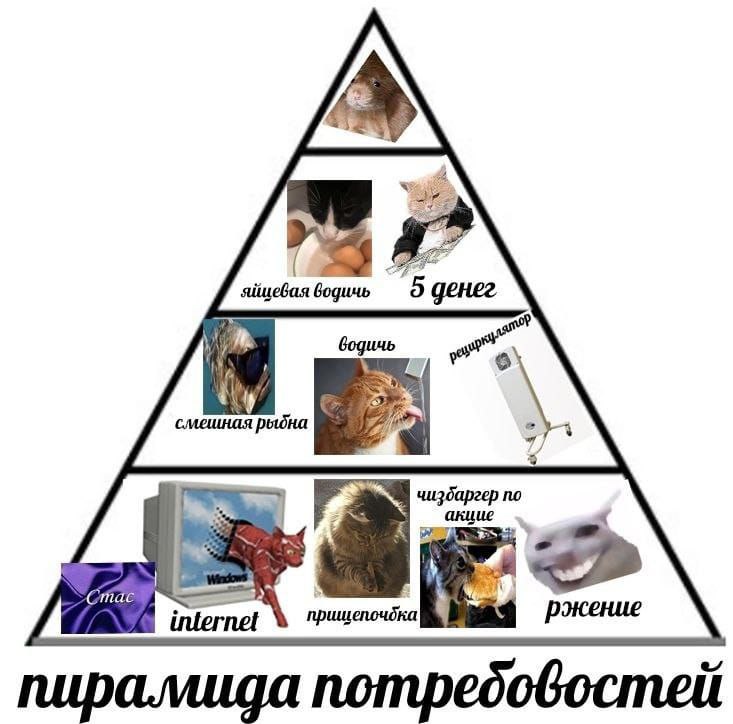 Пирамида потребовостей: яйцевая водич, 5 денег, internet, прищепочбка, чизбаргер по акцие, ржение