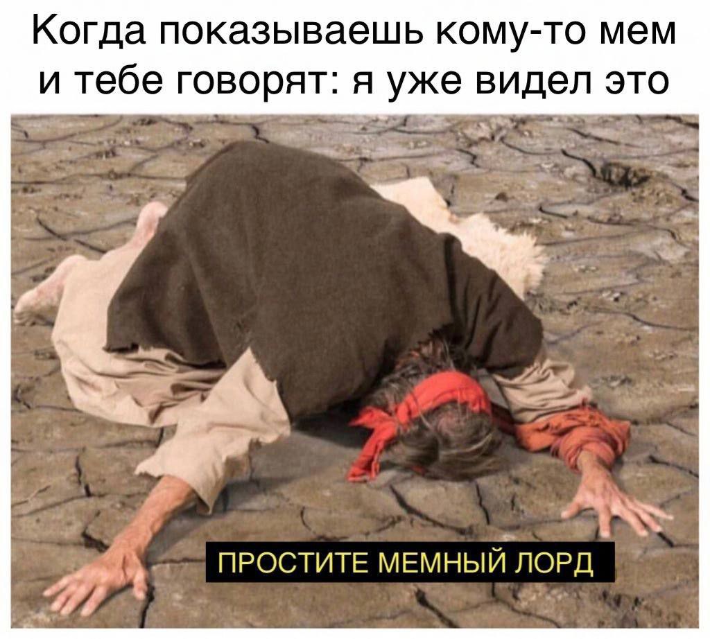 Когда показываешь кому-то мем и тебе говорят: я уже видел это. Простите, мемный лорд