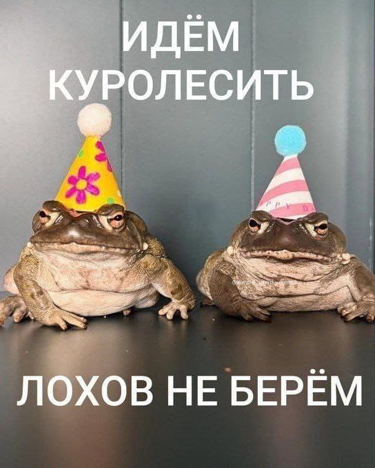 Идем куролесить, лохов не берем