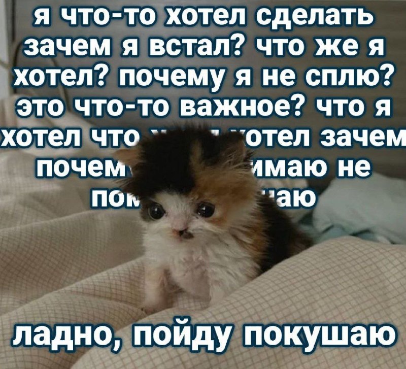 Я что-то хотел сделать, зачем я встал? Что же я хотел? Почему я не сплю? Это что-то важное? Что я хотел, зачем, почему? Ладно, пойду покушаю